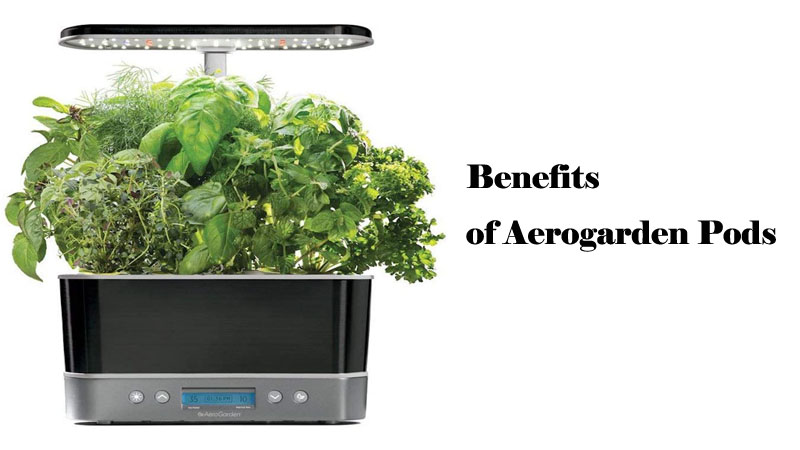 Benefits of Aerogarden Pods