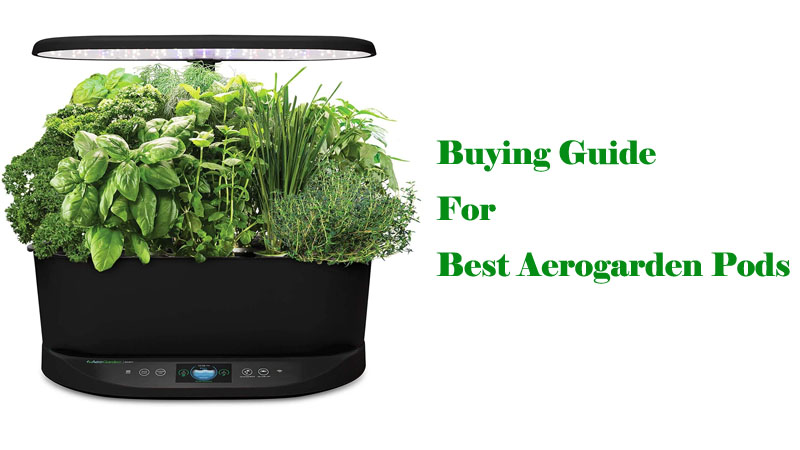 Buying Guide For Best Aerogarden Pods Canada
